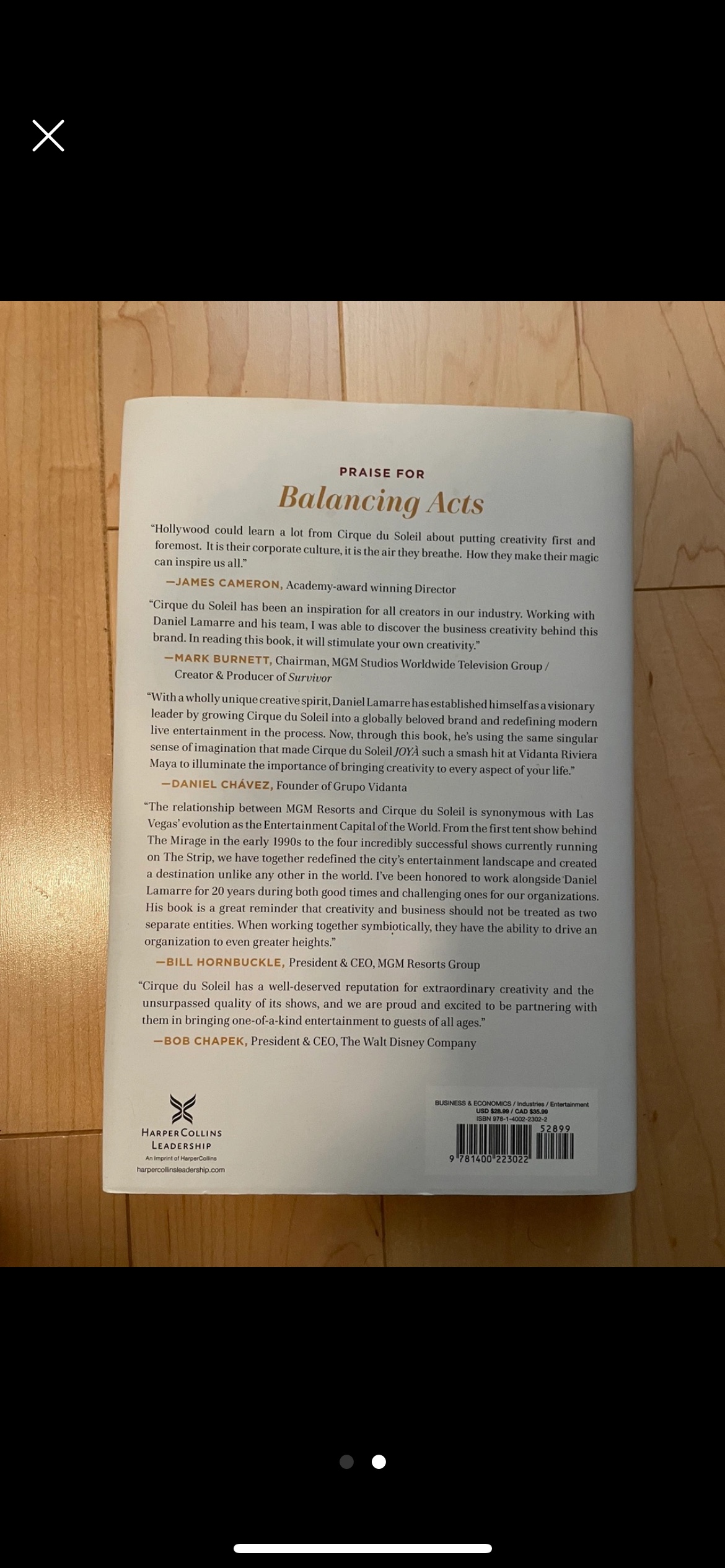 Balancing acts - cirque du soleil book image indicator(2)