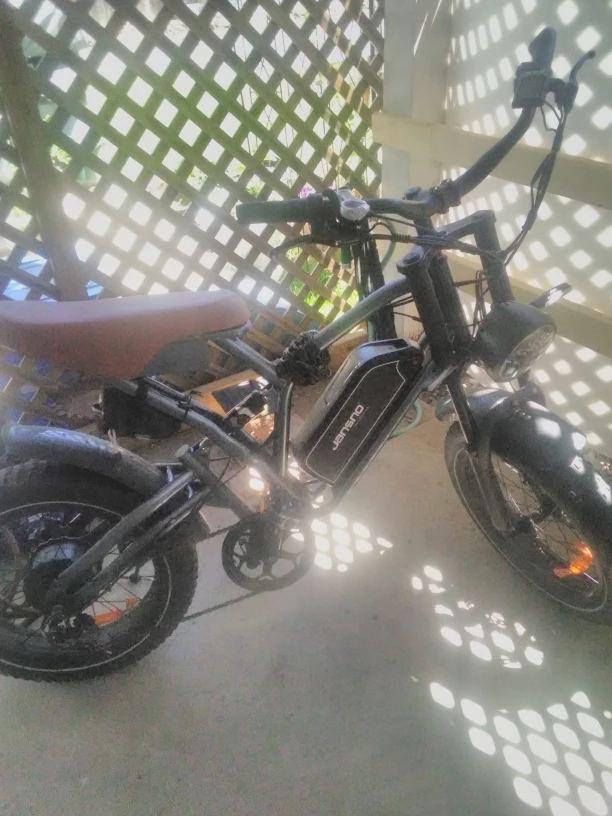 48v Ebike with charger