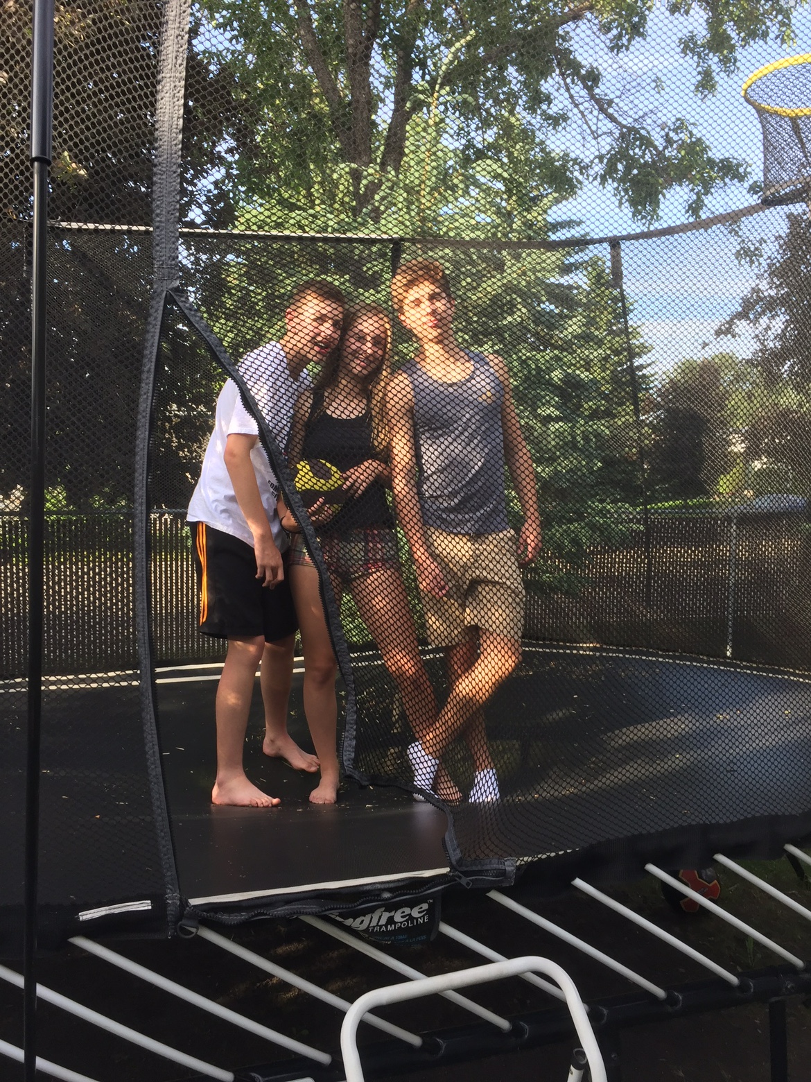 Trampoline - photo 4