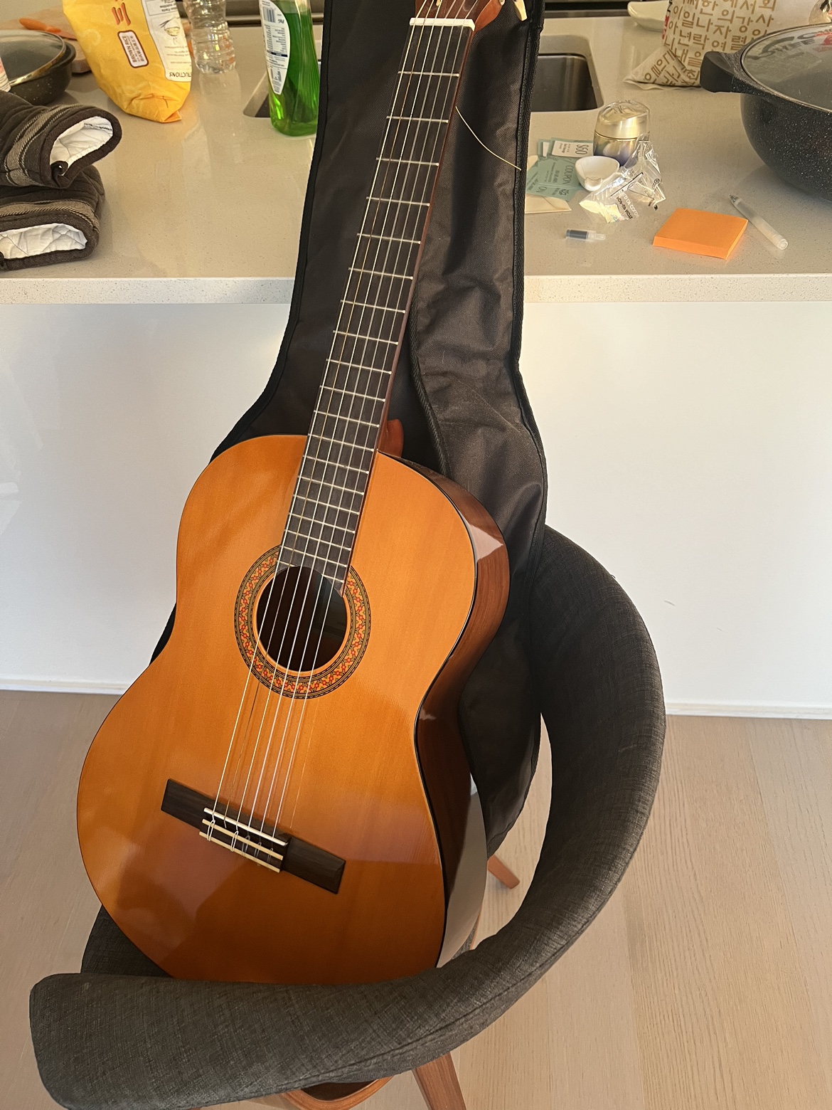 Acoustic Guitar