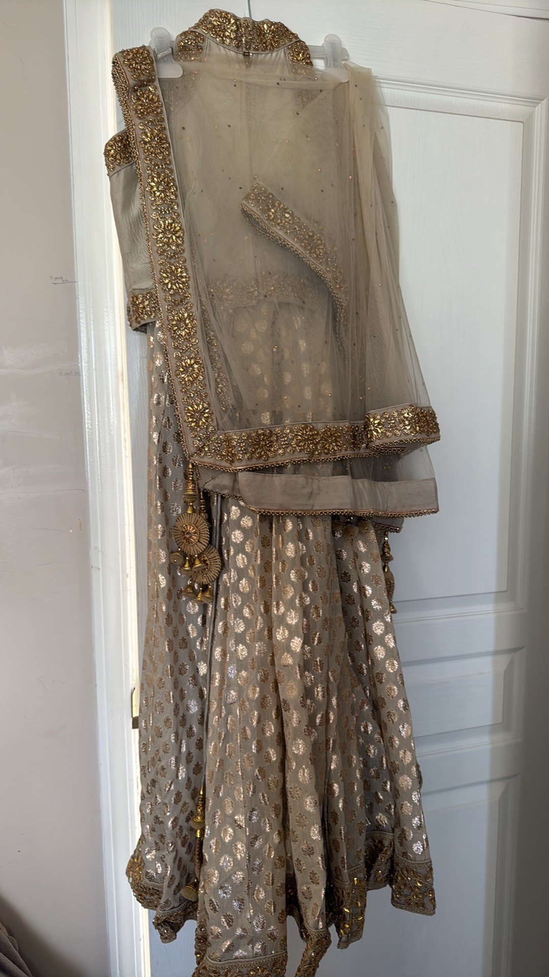 🥕 Brand new beautiful sexy halter style indian lengha dress image indicator(3)