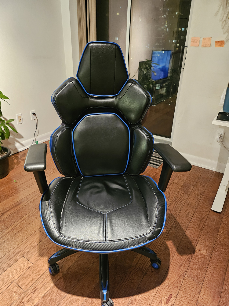 Costco gaming chair DPS