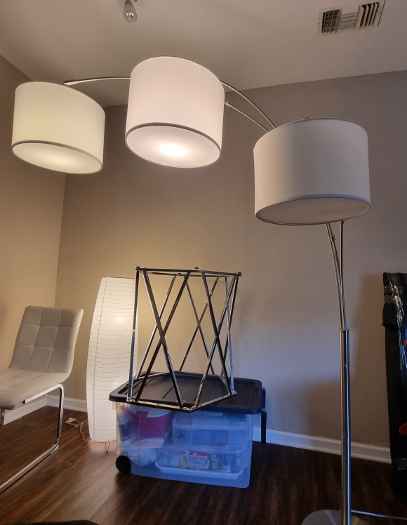 Time-Sensitive Offer! TWO Contemporary Standing Lamps (See Next)
