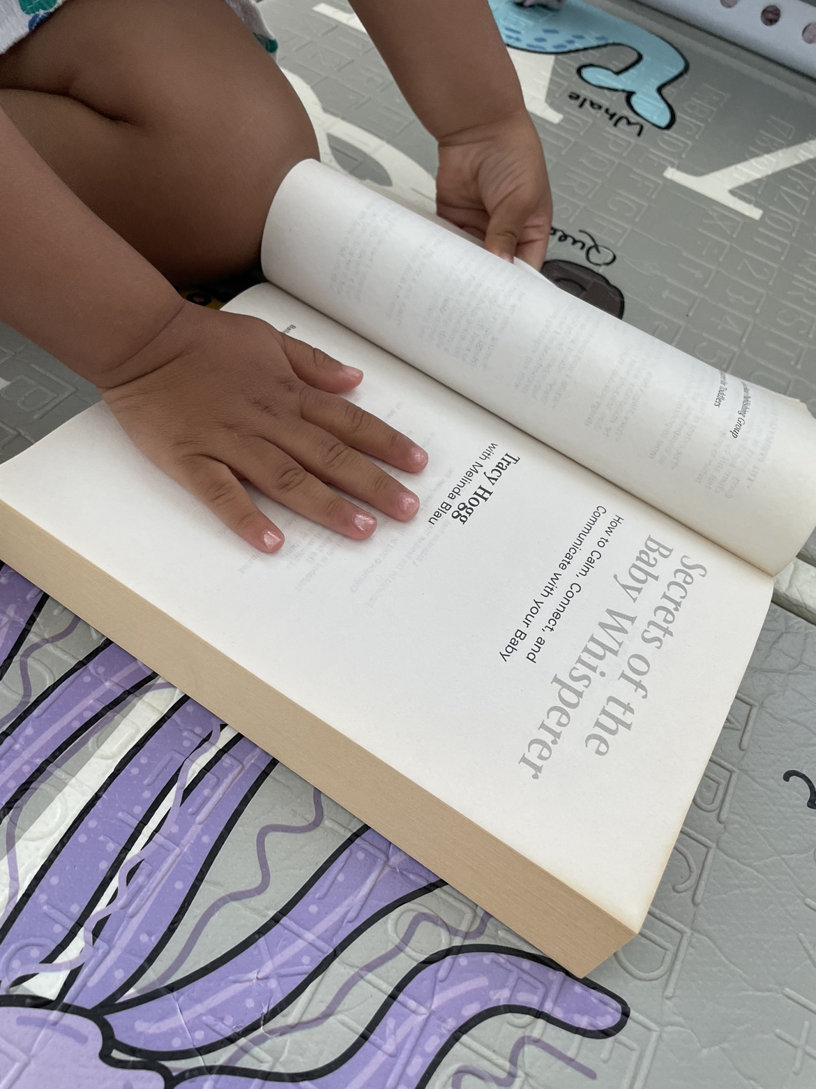 Secrets of The Baby Whisperer image indicator(2)