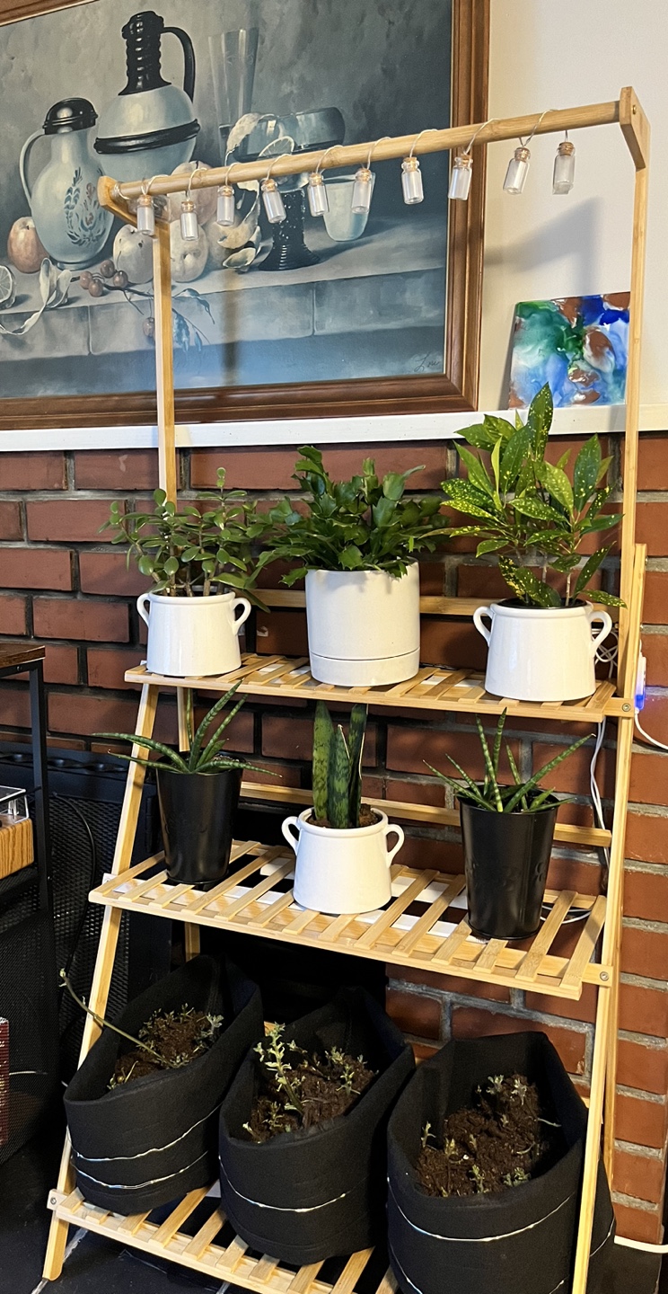 Plant stand for Sale!