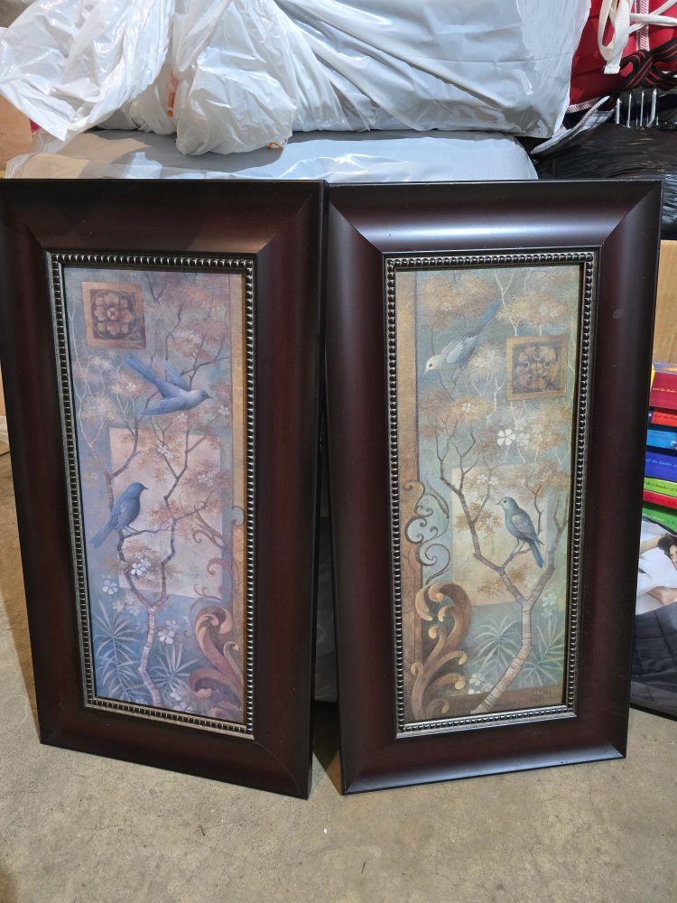 #freecycle pictures