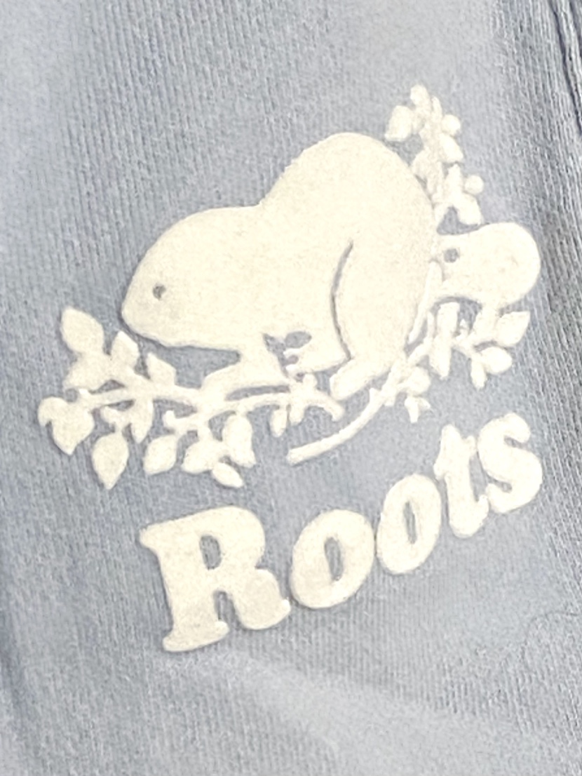 Ladies Roots Organic Original Sweatshorts - photo 4