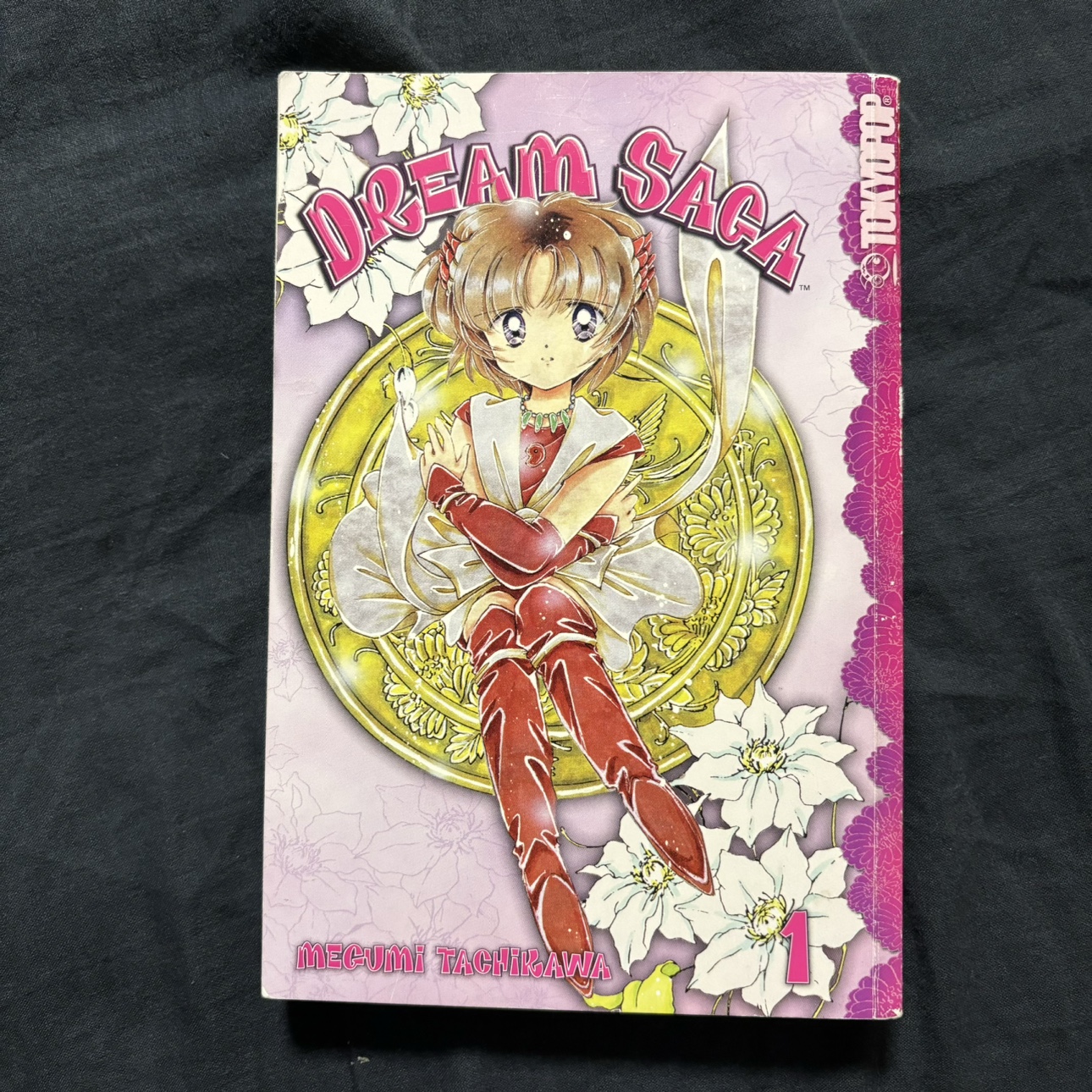 Dream Saga Volume 1 Manga thumbnail
