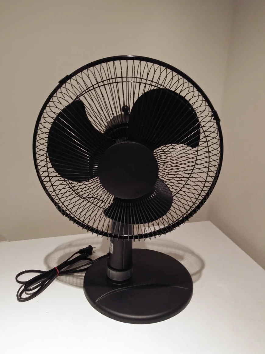 fan 🥕🥕🥕