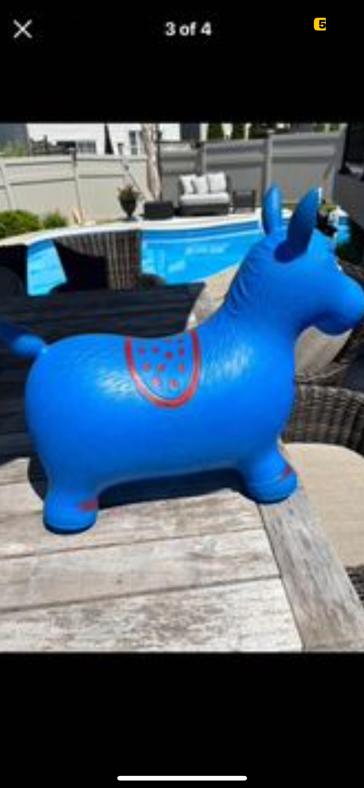 Bouncy Horse - photo 3