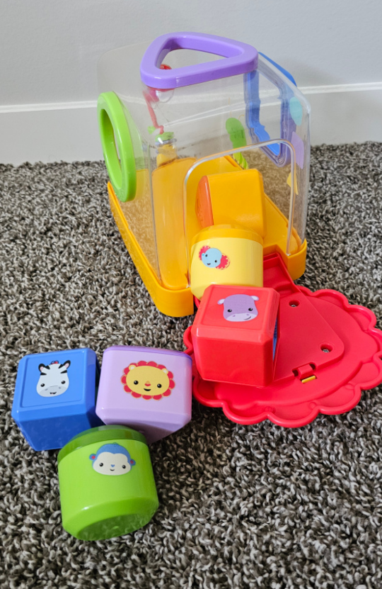 Shape sorter image indicator(4)