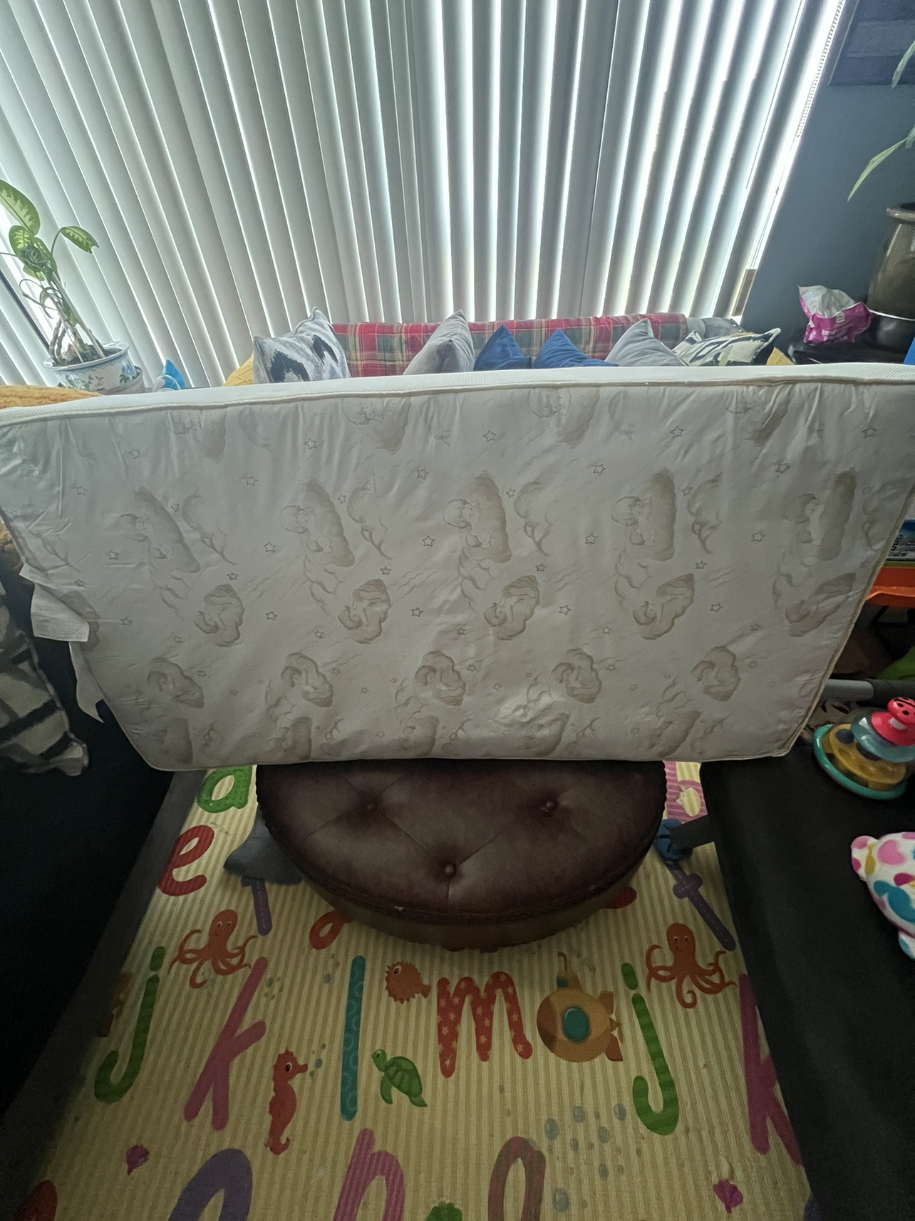 CRIB image indicator(3)