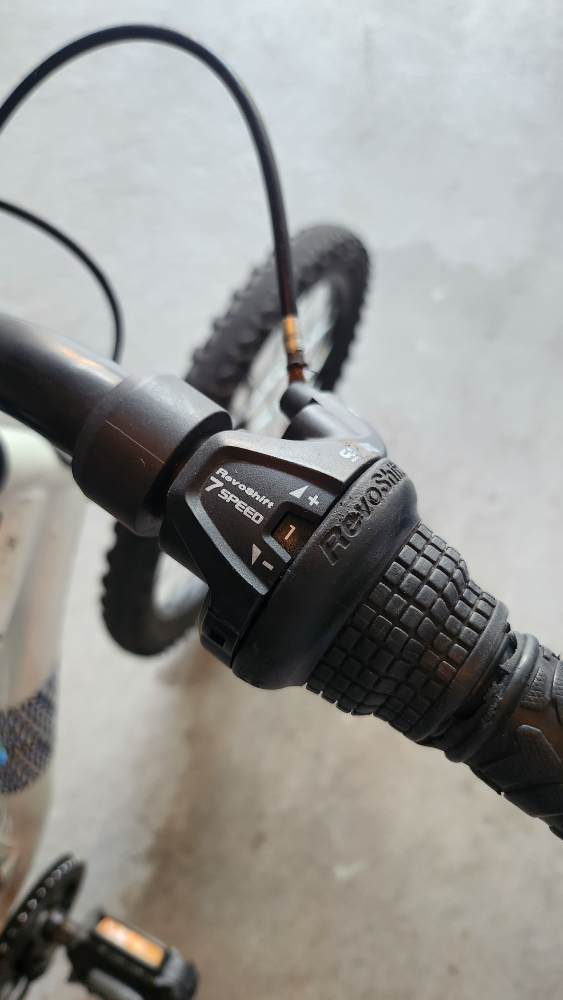 Schwinn 20" Bike image indicator(8)