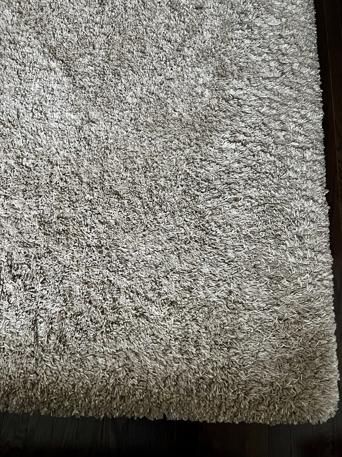 Carpet-Rug