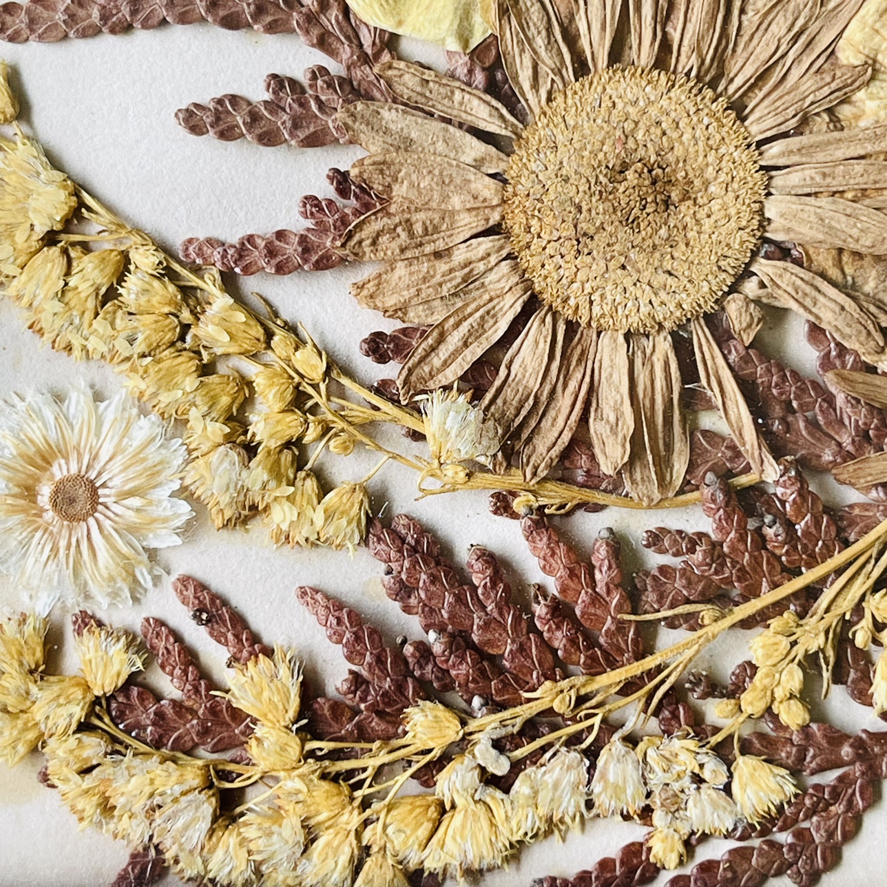 #freecycle Framed Dried Flowers Wall Hanging Display image indicator(4)