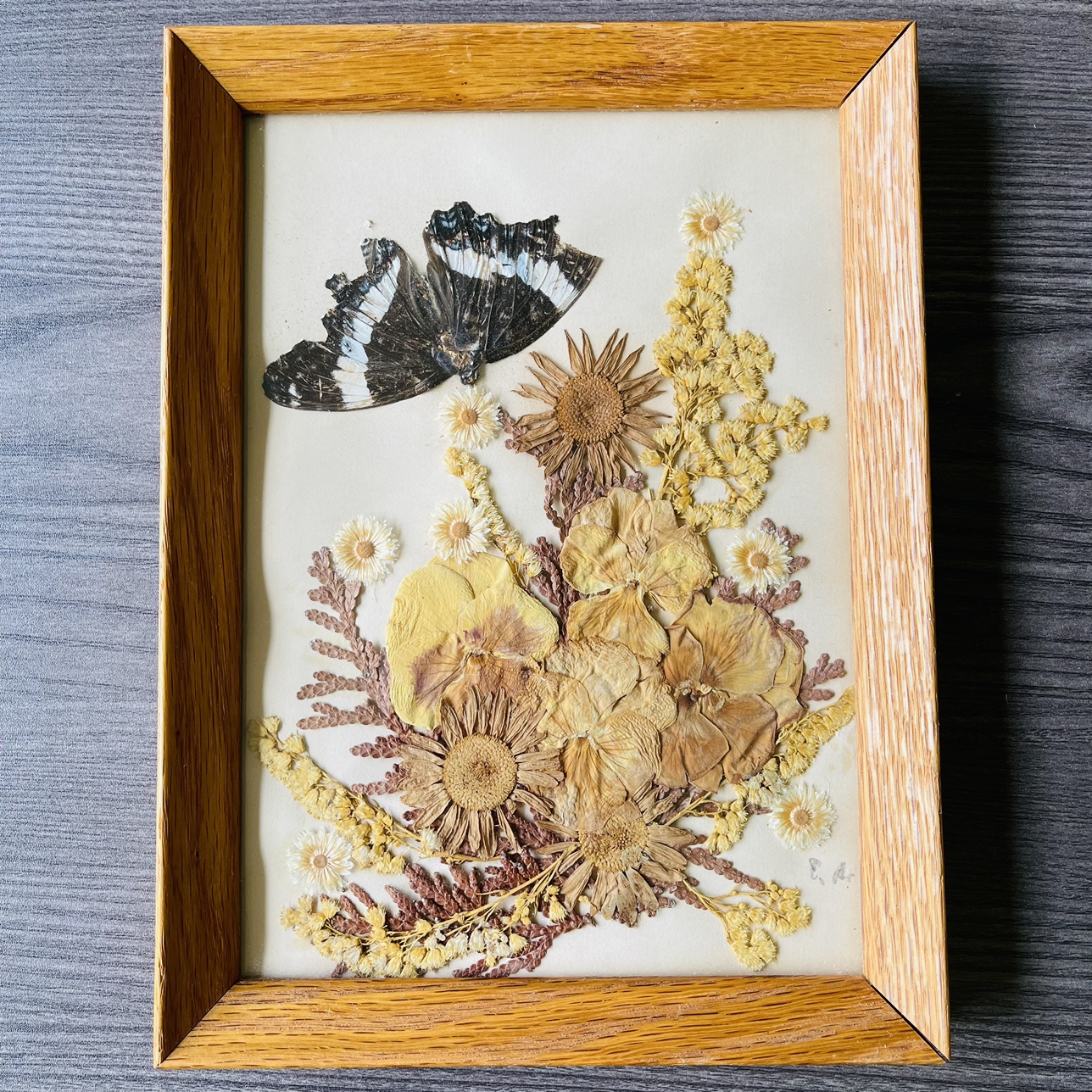 #freecycle Framed Dried Flowers Wall Hanging Display thumbnail