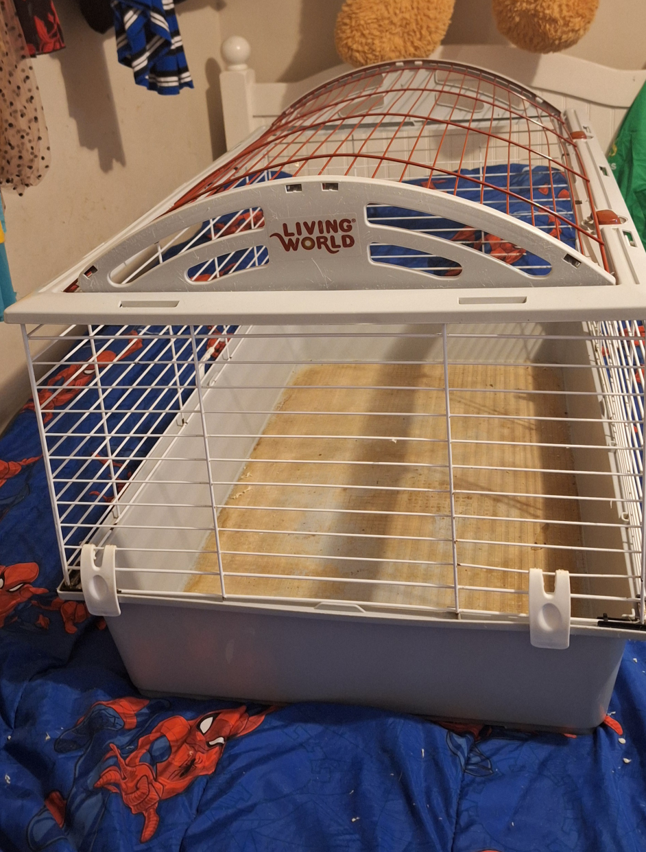 Living World Deluxe Habitat, Rabbit, Guinea Pig and Small Animal image indicator(2)