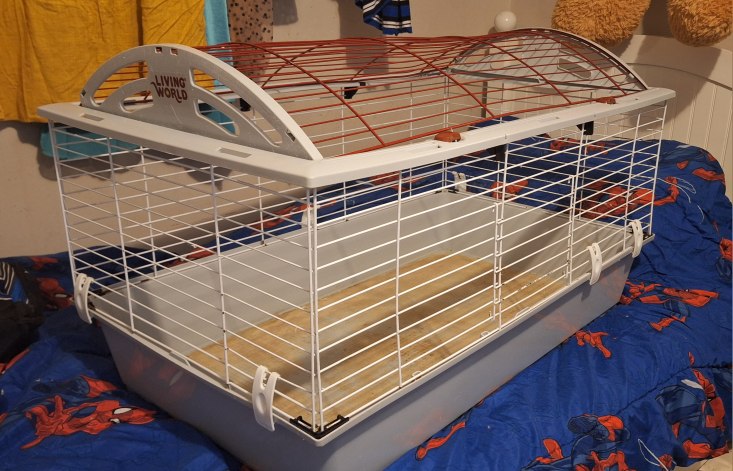 Living World Deluxe Habitat, Rabbit, Guinea Pig and Small Animal image indicator(3)