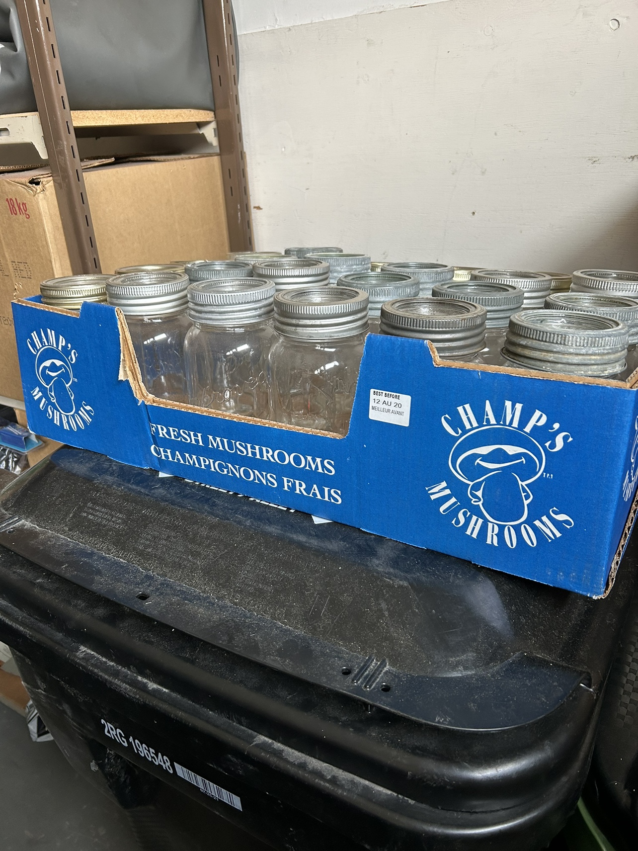 1 quart sealers/jars - photo 2