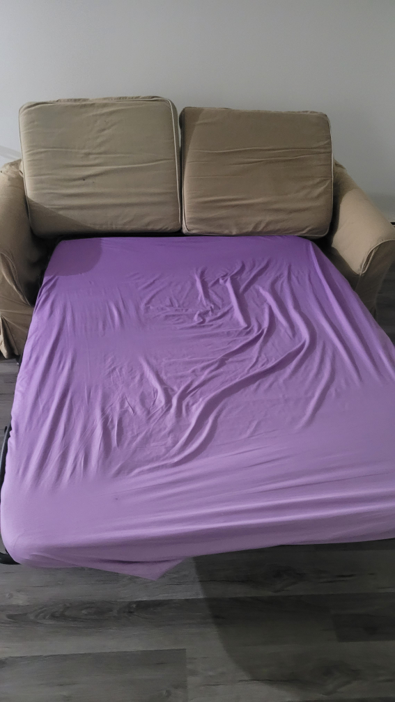 Moving Sale - Ikea Sofabed