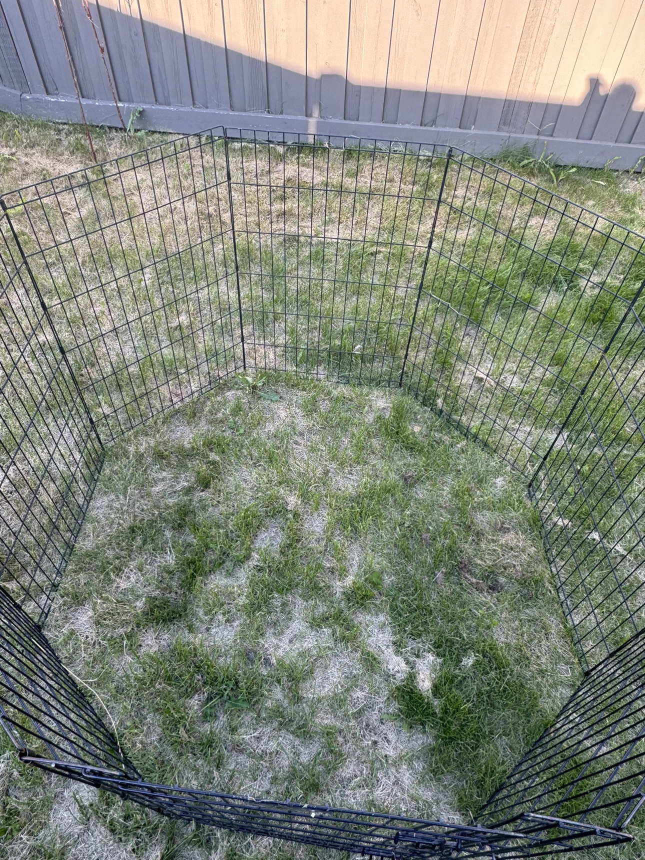 Dog Pen - photo 3
