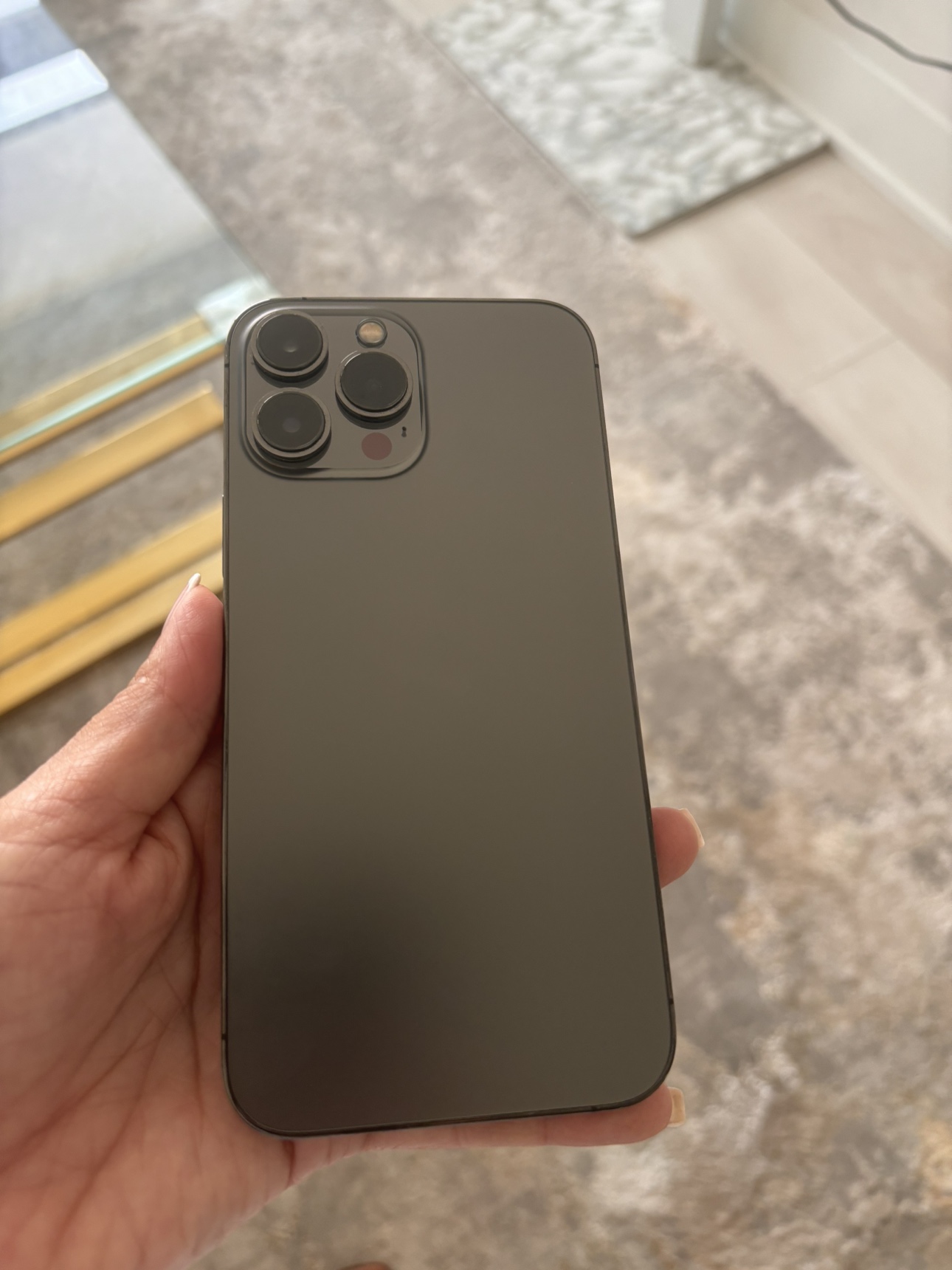 iPhone 13 Pro Max