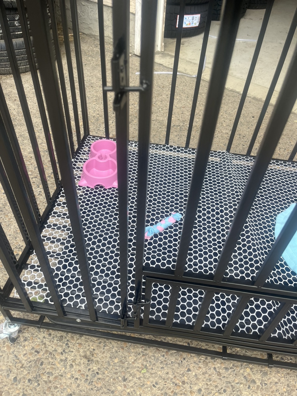 XL havey duty dog crate - photo 3