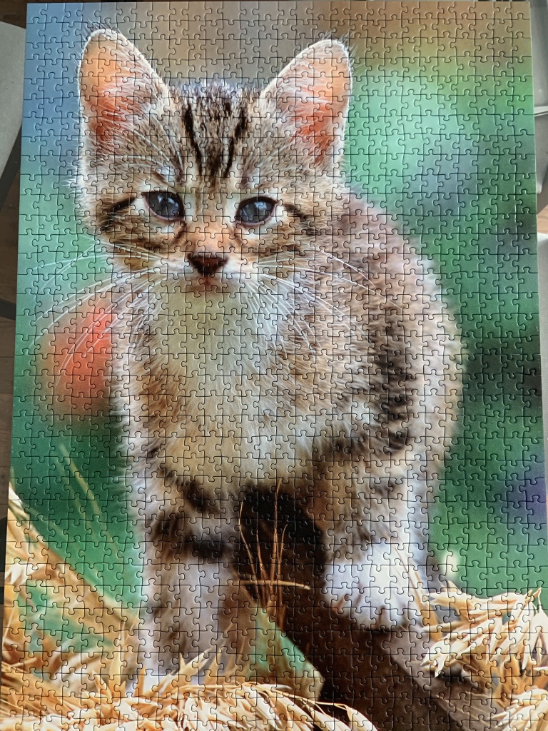Jigsaw puzzles - Ravensburger