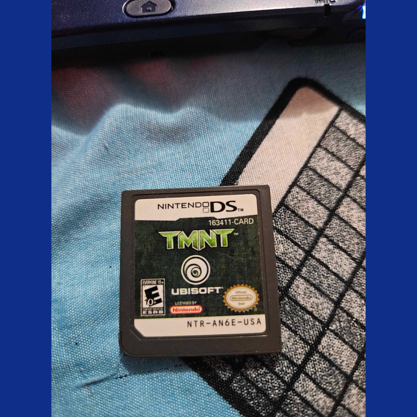 TMNT Nintendo DS Game (no case)