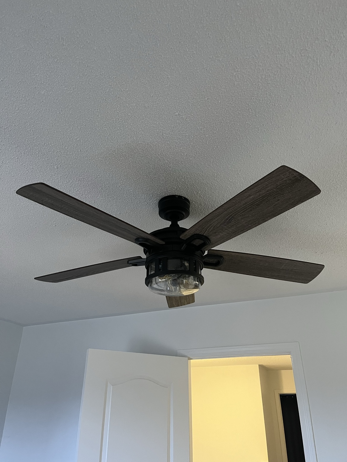 Pair of Ceiling Fans with light.