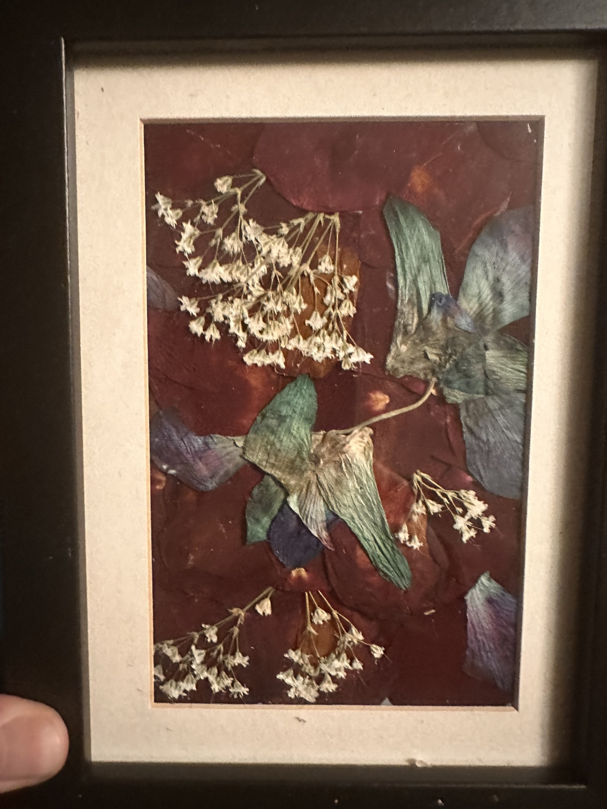 Dried flower pictures thumbnail