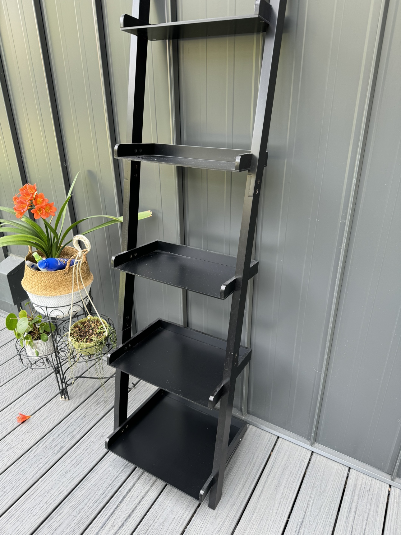 Black Ladder Shelf