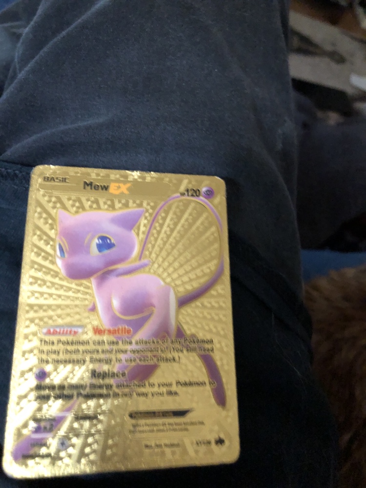 The Pokémon - photo 3