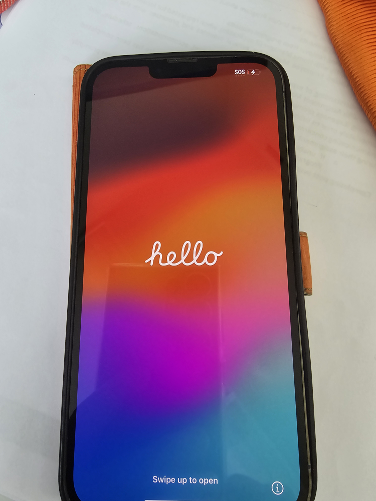 iPhone 13 Pro Max