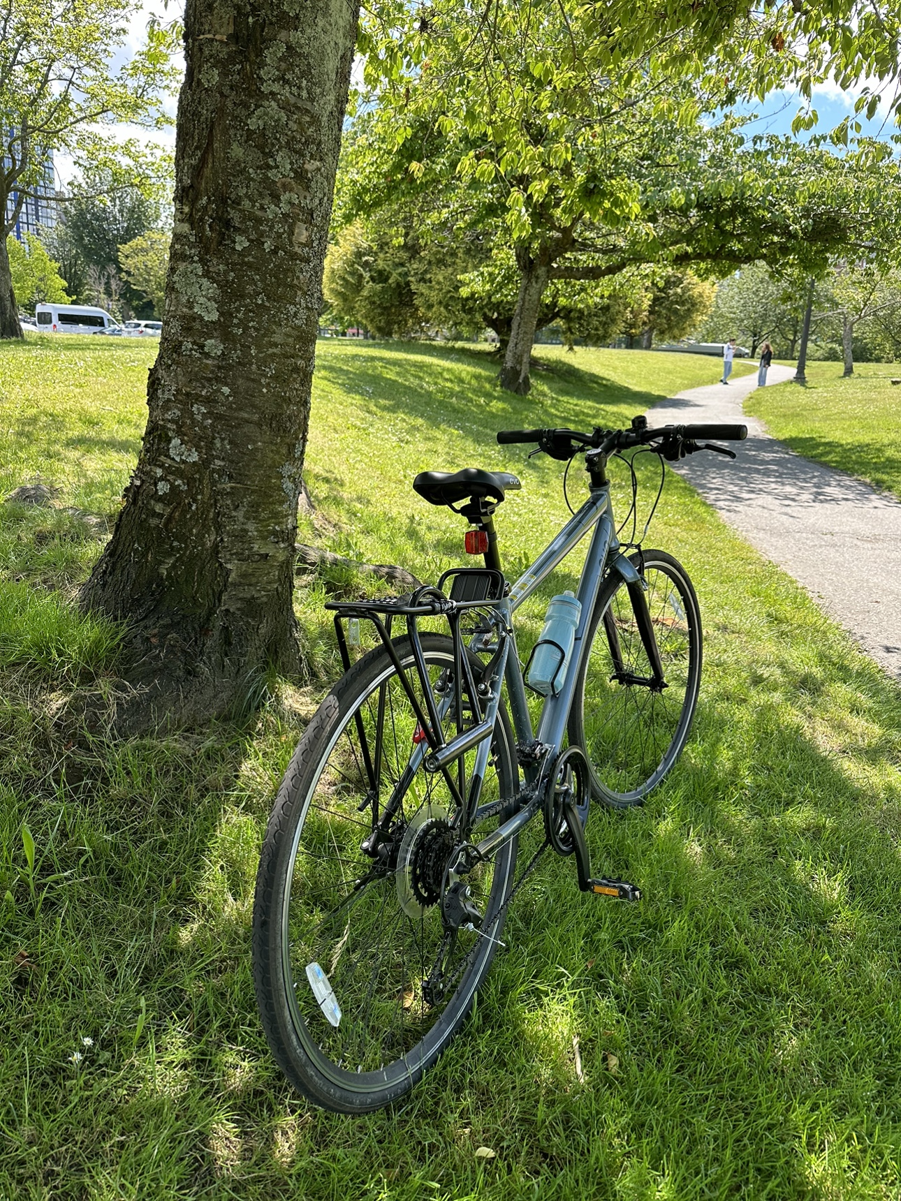 Evo bike - photo 3