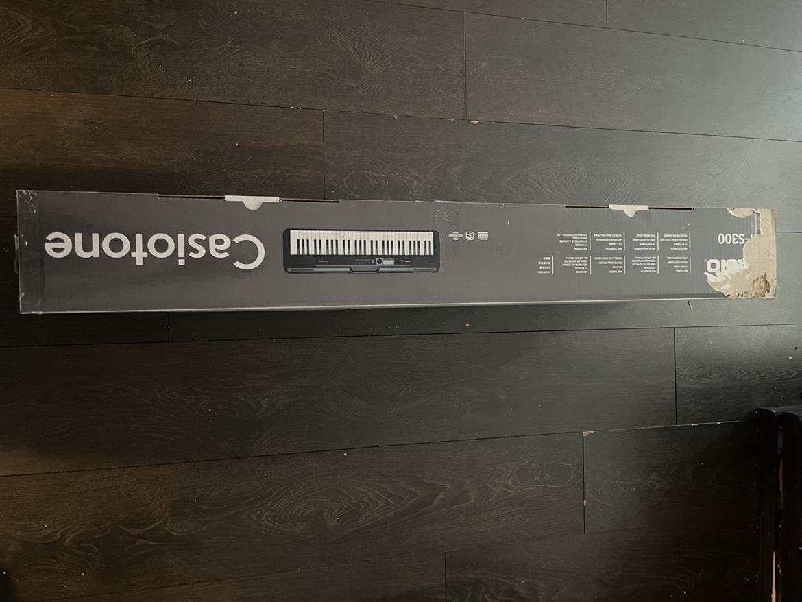 Casiotone CT S-300 image indicator(8)