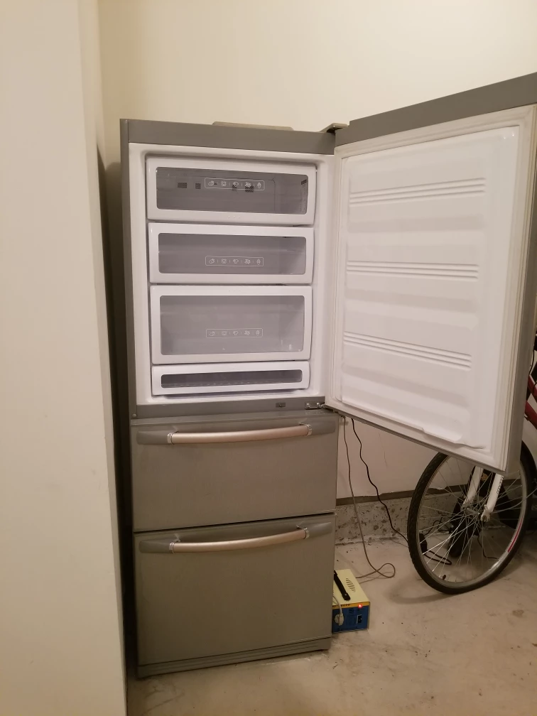 Freezer & Kimchi Fridge - photo 4