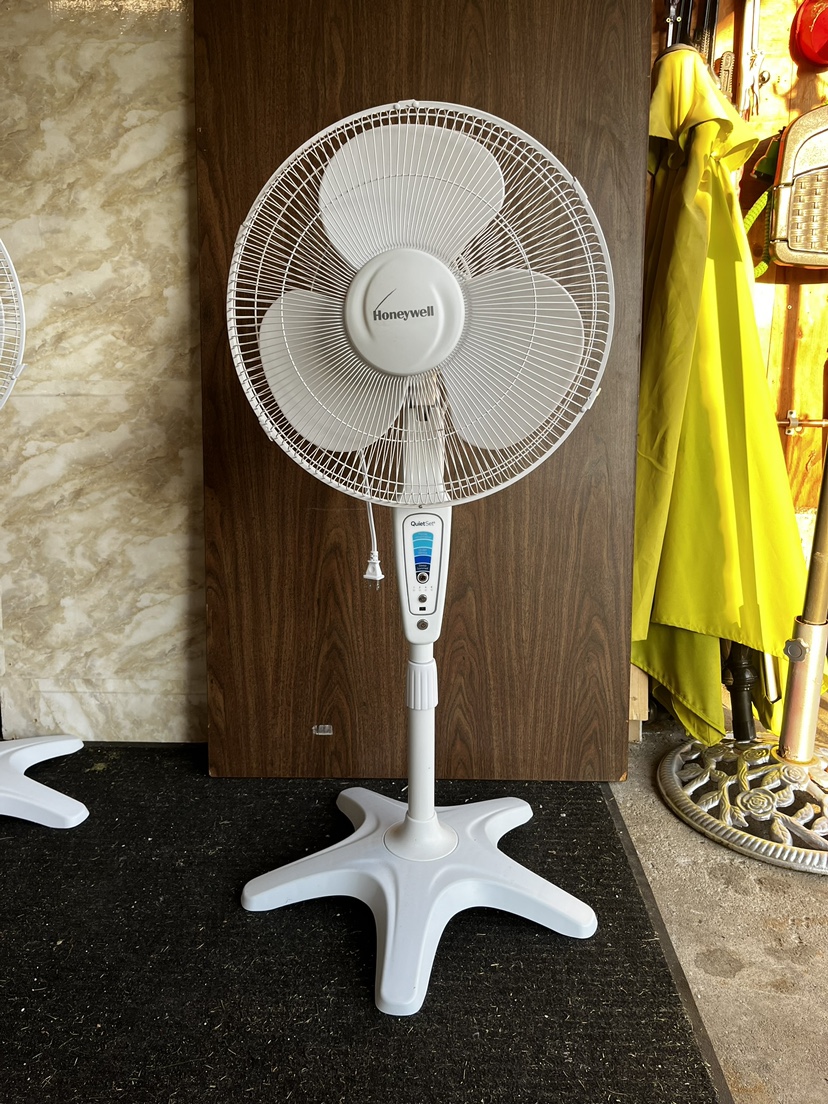 White Pedestal Fan (2 Left)