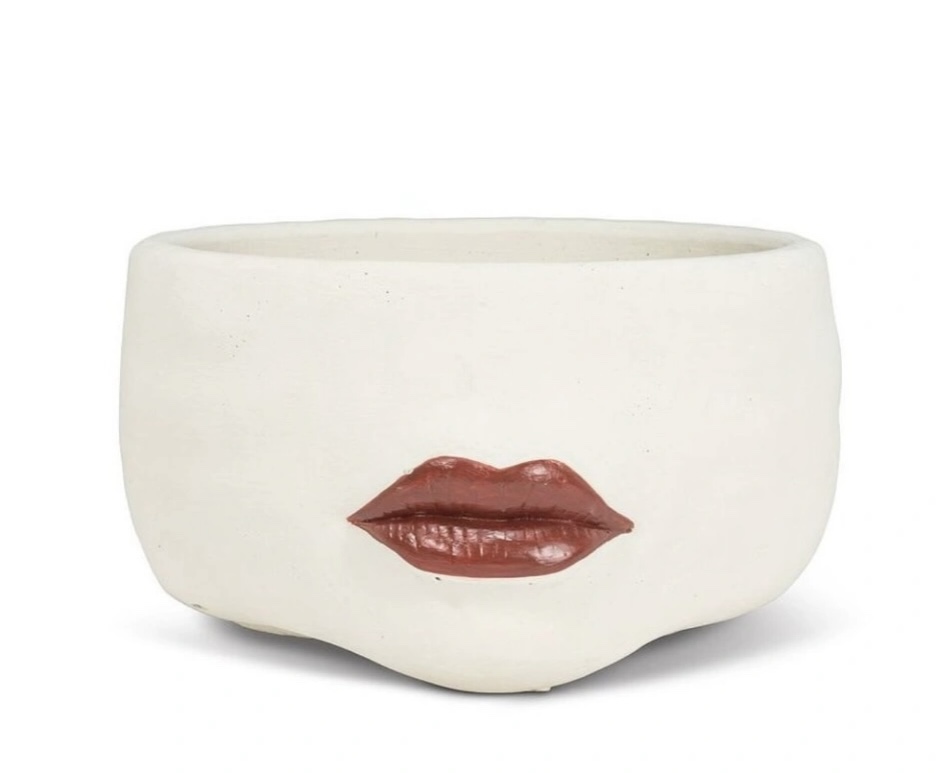 NEW - Low Red Lip Planter image indicator(3)