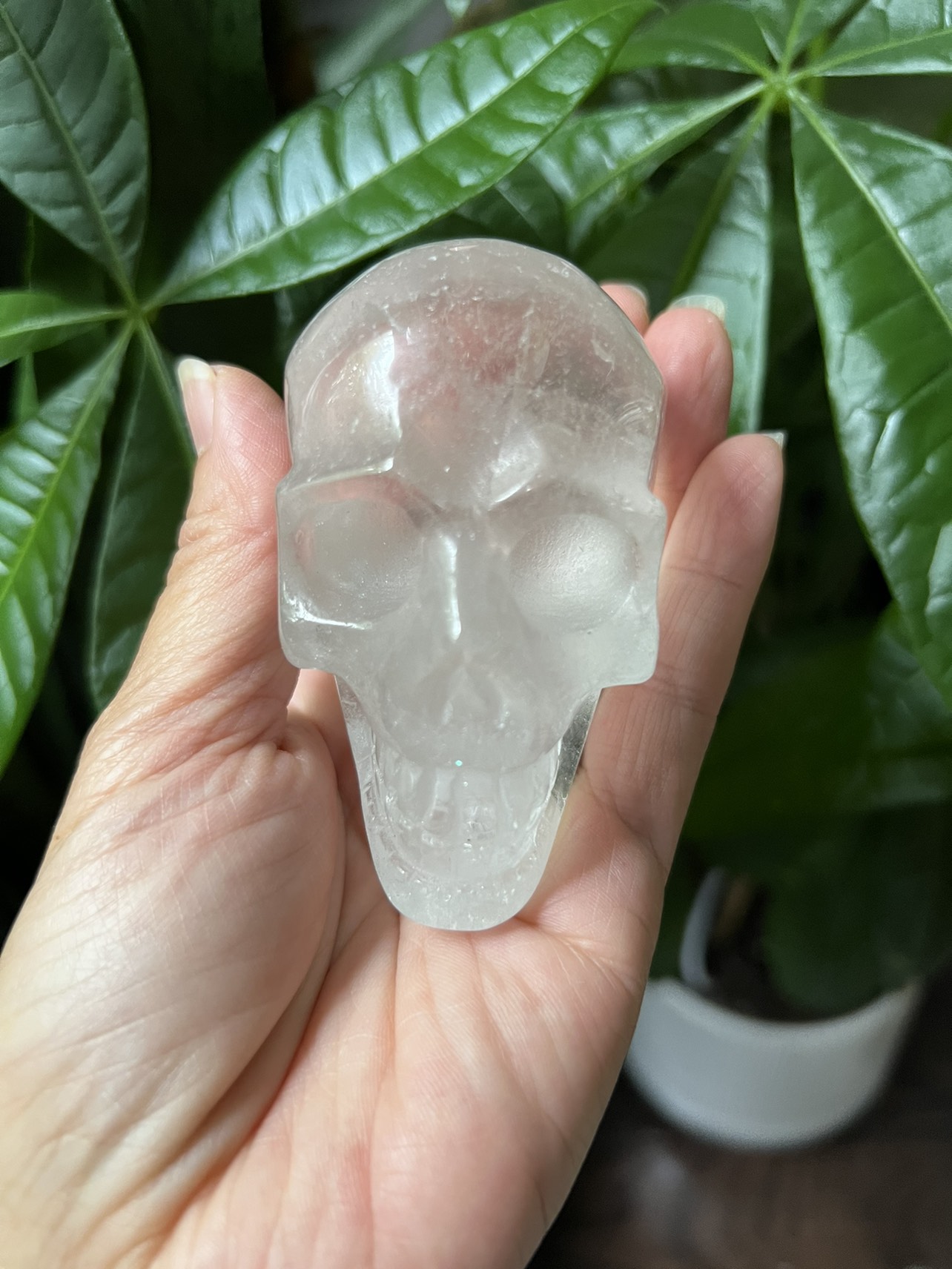 Garden Court skull carving (b) | crystal