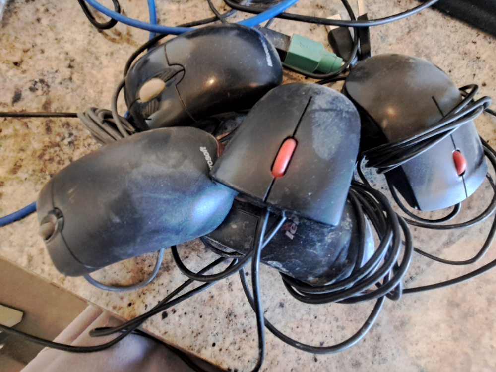 mouse