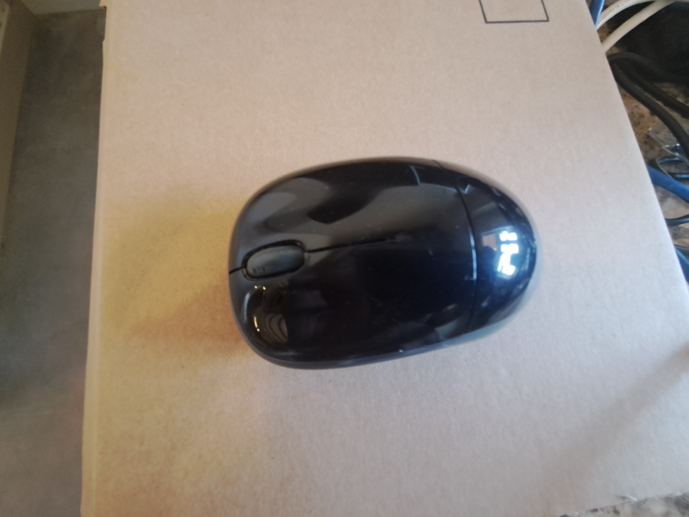 mouse - photo 2