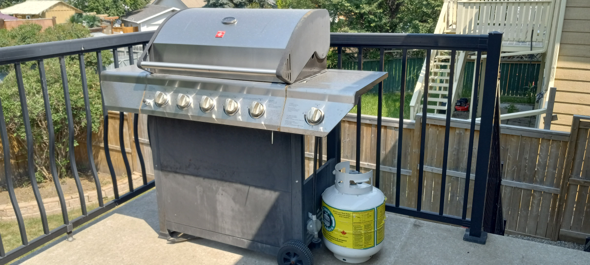 BBQ - photo 4