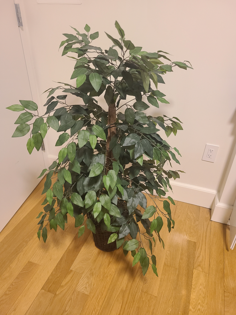 fake plant