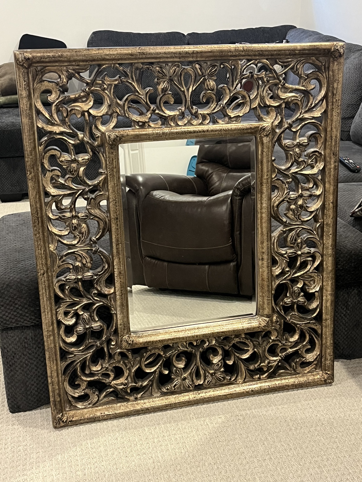 Mirror image indicator(3)