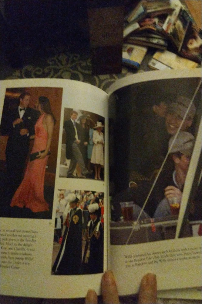 Princess Diana /Prince William and Kate books image indicator(7)