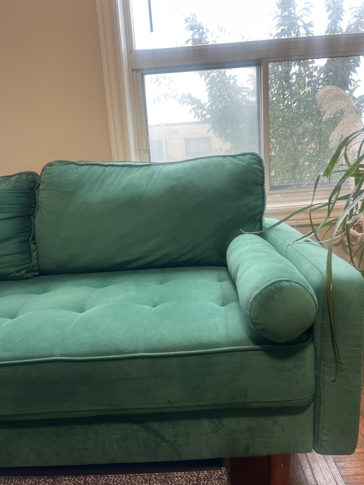 Green couch - photo 3