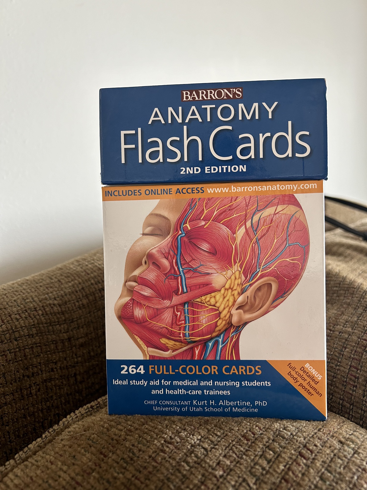 Anatomy Flash Cards