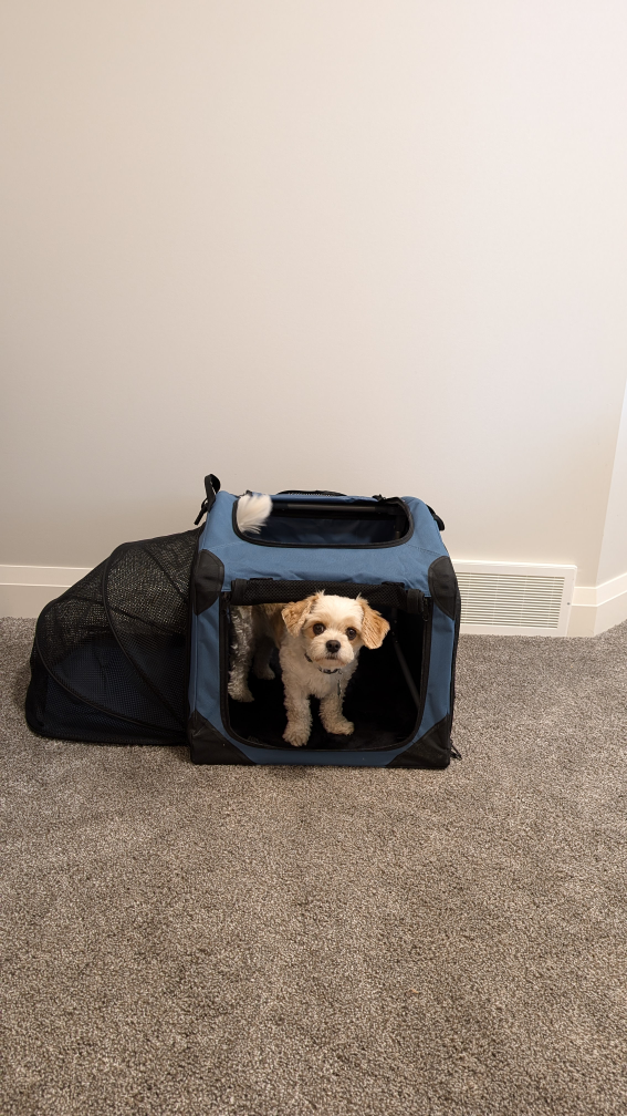 Essentials 24" Soft Portable Crate