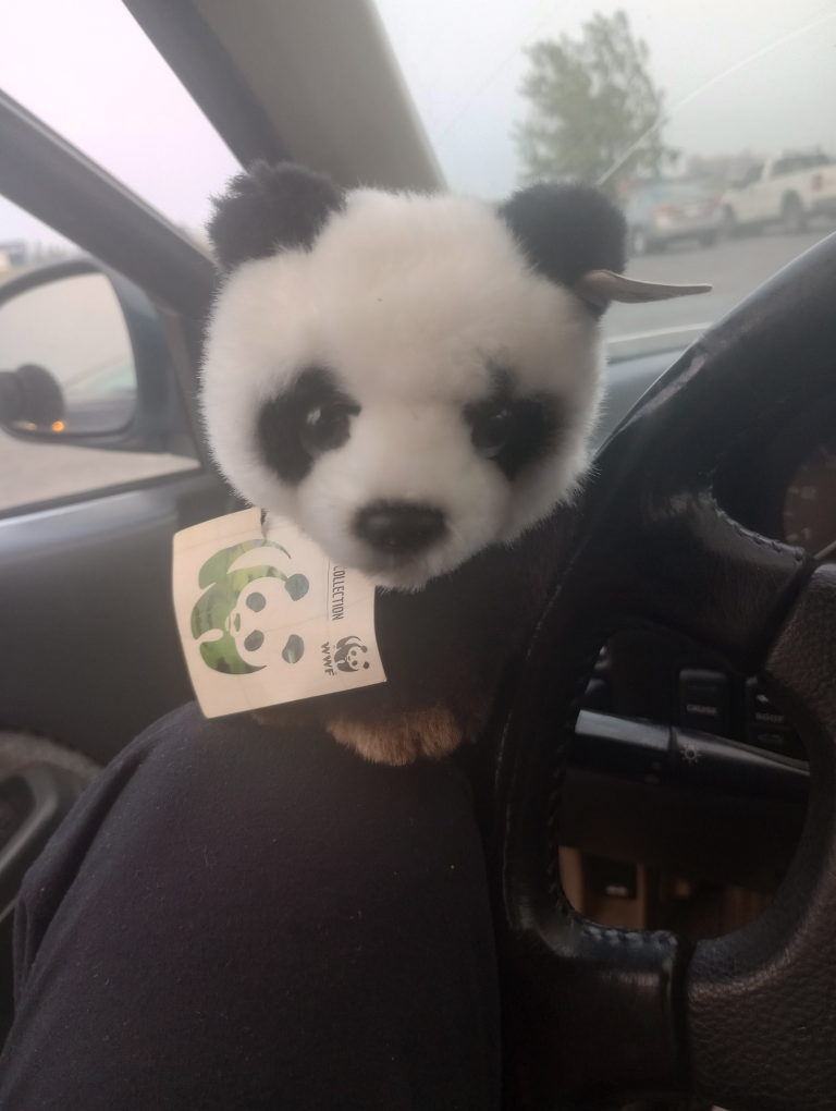 panda bear - photo 2